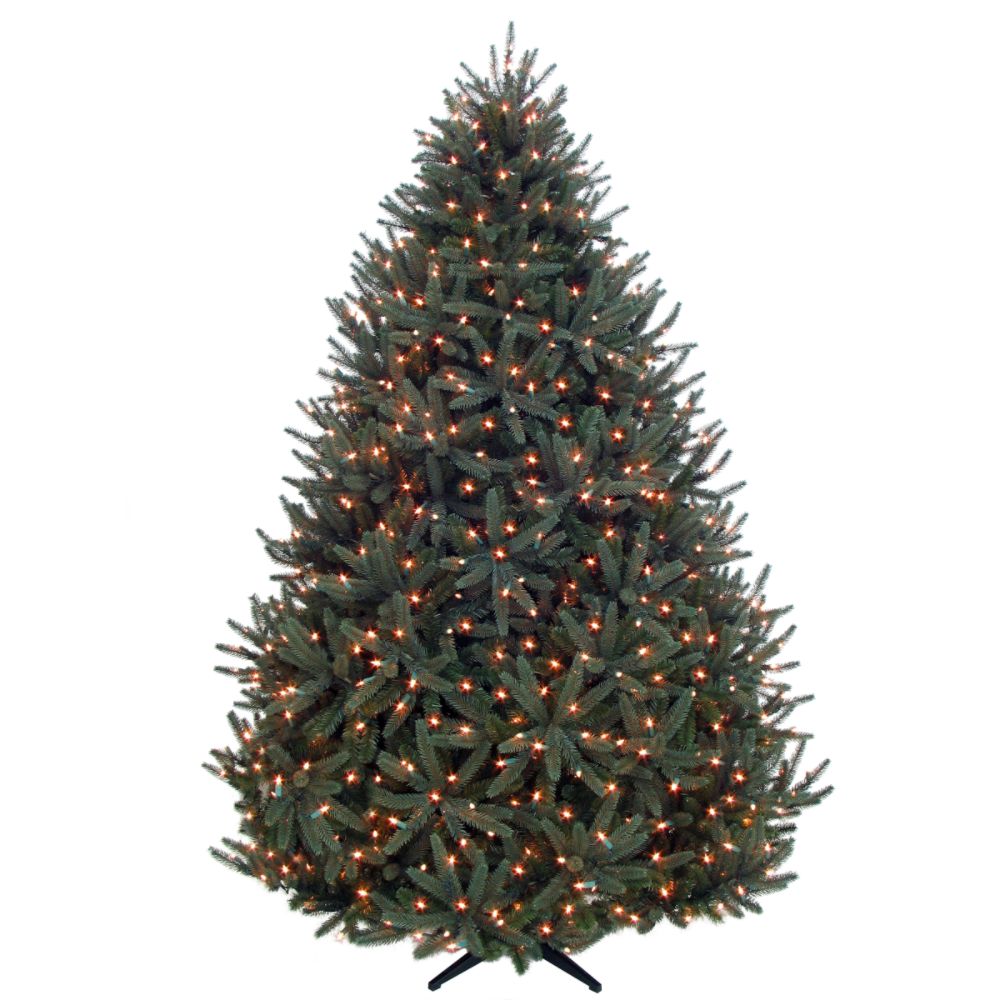 Simply Christmas 7.5 ft. Cambridge Fir w/800 NVO Lights, Clear