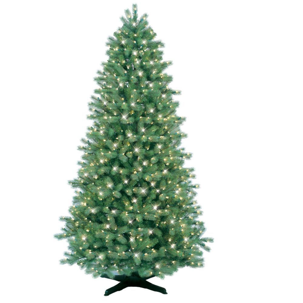 GE 7ft Just Cut Colorado SpruceTree, Clear