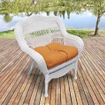 Avalon Chair With Cossette Adobe Cushions
