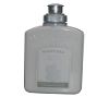 Body Lotion - White Tea