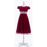Rare Editions Girl's 7-16 Short Sleeve Velvet Dress with Trim At Waist