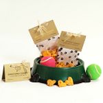 Pawsitively Yummy Cheesy Love-Small