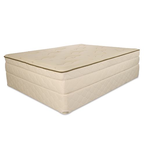 Shopping Dudes Hot Deal for: Natura Clear Mattress CK