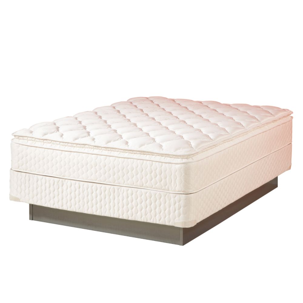 Twin Mattress ONLY Reviews