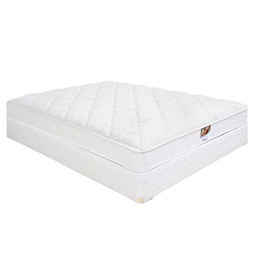 Sears-O-Pedic Paramus Select Plush Queen Mattress Only