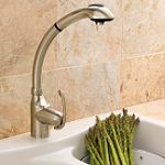 Danze ANU Stainless Steel Pull Out Kitchen Faucet