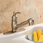 Danze Opulence Stainless Steel Pull out Kitchen Faucet Best Price