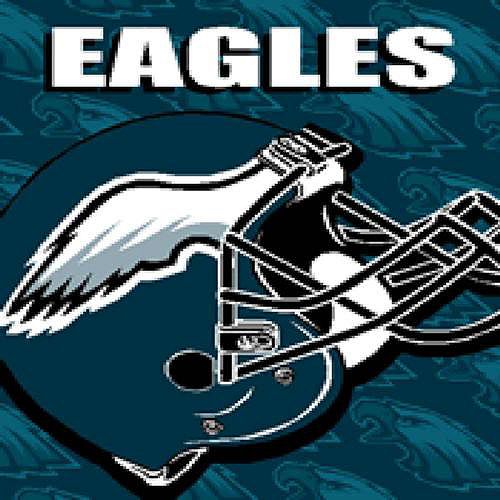 Eagles Blanket