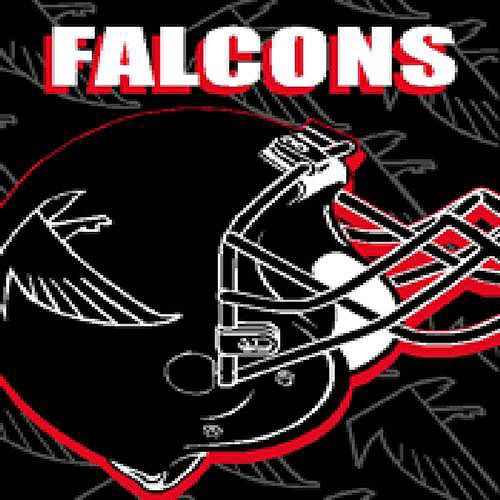 Falcons Blanket