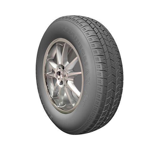 Shopping Dudes Hot Deal for: Guardsman Guardsman Plus - P205/70R14 93S BSW