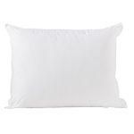 Dream Solutions Kids Allergen Reduction Pillow