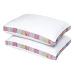 Colormate 2 in. Gusset Microfiber Pillow Twin Pack
