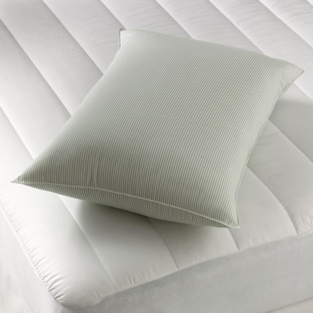 Whole Home Firm Support Jumbo Pillow