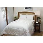 Allergy 101 Down Alternative Blanket Twin Size