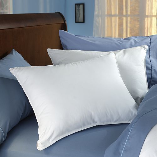 Sealy 300TC Egyptian Cotton Sateen Pillow - King price decreased by 50%