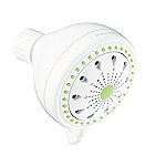 Pollenex Wall-Mount Microban Showerhead
