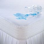 Dream Solutions Waterproof Mattress Pad
