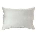 Dream Solutions Bioshield Pillow
