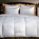 Royal Velvet Signature Down Comforter
