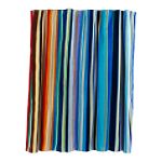 Whole Home Stripe Beach Towel for 2
