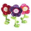 Flower Pod Collection