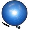 Aeromat Anti-Burst 65cm Ball Kit w/Pump and Carrier