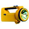 Kangaroo Lantern
