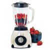 Stainless Steel 2-Speed Bar & Kitchen Blender