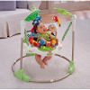 Rainforest Jumperoo