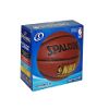 Spalding NBA Highlight Official Size Basketball 29.5 in.