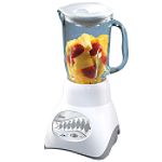 Oster 14-Speed Blender
