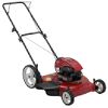 5.50 Torque Rating (158CC) 22 in. Deck 2-n-1 Mulch-Discharge Rear Bag Mower