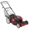 6.25 Torque Rating (190CC) 22 in. Deck 3-n-1 Mulch-Bag-Discharge Rear Bag Mower