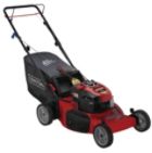 190cc* 22" Rear Drive Self-Propelled EZ Lawn Mowerâ€“50 States