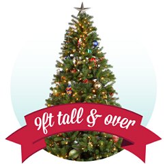 Christmas Trees 9 ft. & Taller
