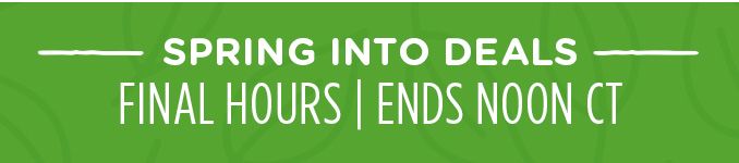 -SPRING INTO DEALS- FINAL HOURS | ENDS NOON CT