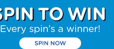 SPIN TO WIN | Every spin's a winner! | SPIN NOW