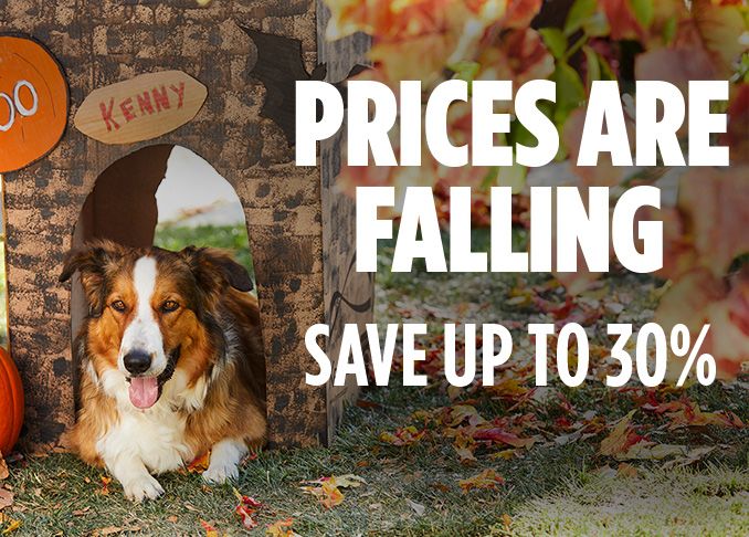 PRICES ARE FALLING | SAVE UP TO 30%