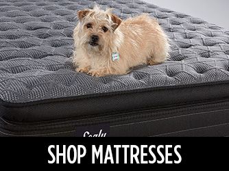 SHOP MATTRESSES