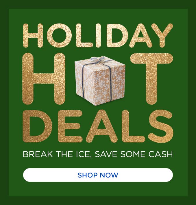 HOLIDAY HOT DEALS | BREAK THE ICE, SAVE SOME CASH | SHOP NOW