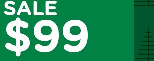 SALE $99